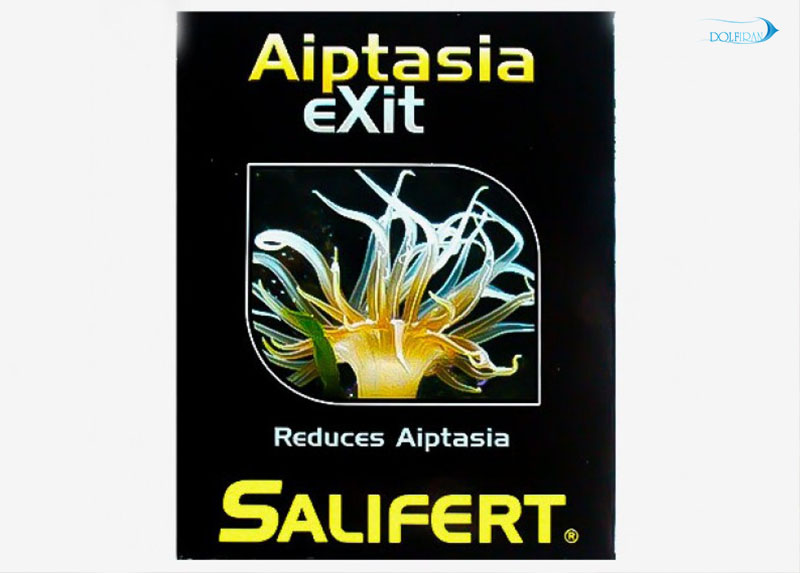 Aiptasia-Exit.jpg از بین برنده آپتازیا (شقایق های شیشه ای) - تصویر 1