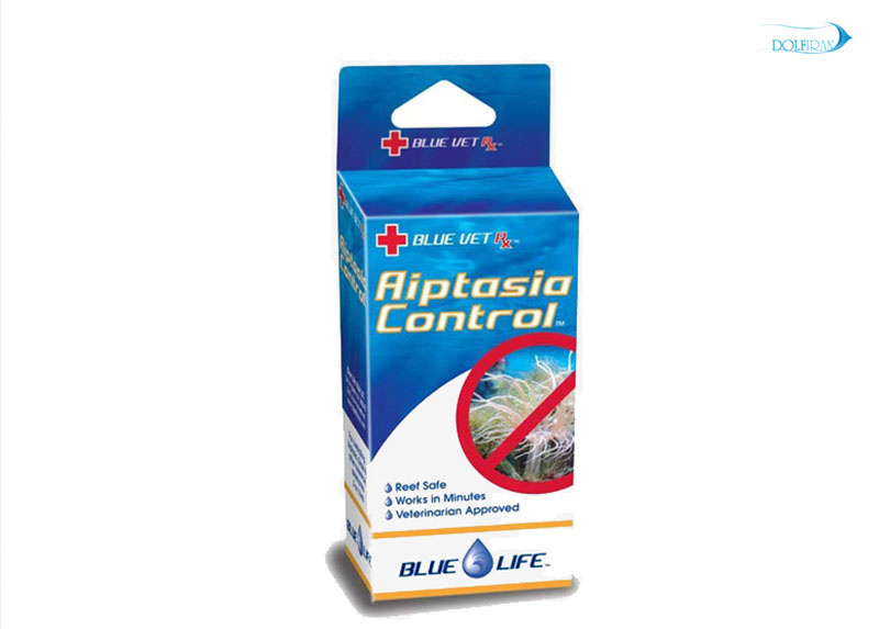 Aiptasia-Rx.jpg ضد آپتازیا-شقایق های شیشه ای - تصویر 1