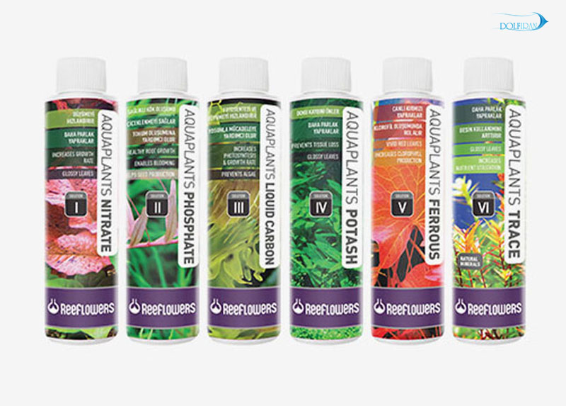AquaPlants-Six-Solutions.jpg ۶ محلول کامل آکواریوم های گیاهی - تصویر 1