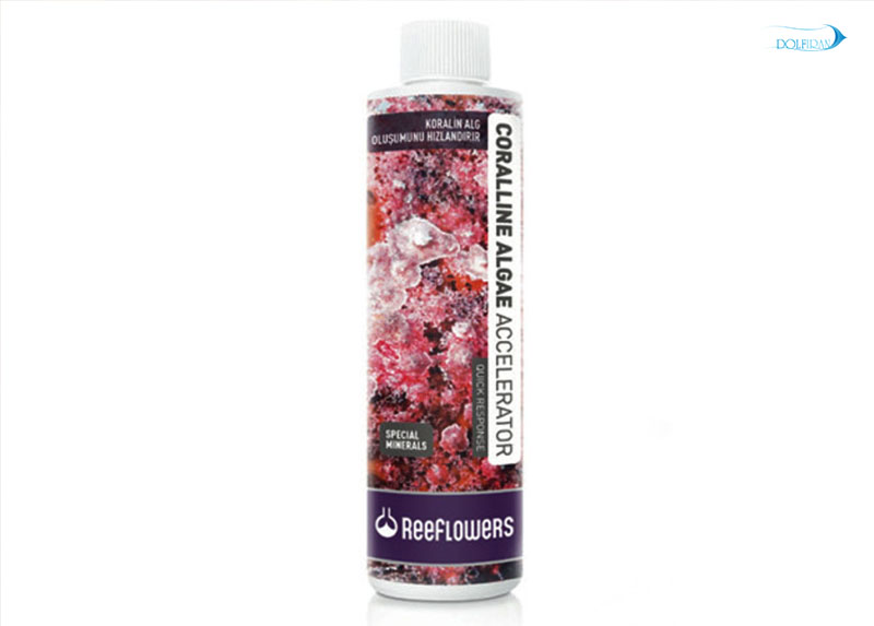 Coralline-Algae-Accelerator.jpg افزایش جلبک های بنفش - تصویر 1