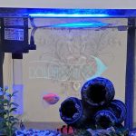آکواریوم دلسا مدل k250
