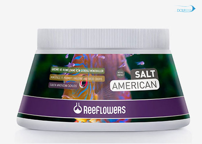 SaltAmerican.jpg نمک سیچلایدهای آمریکایی - تصویر 1