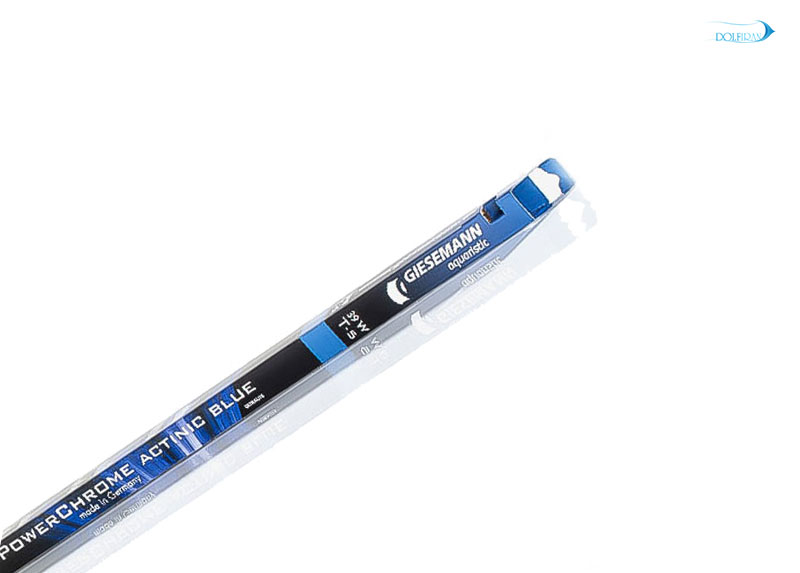 T5-Actinic-Blue.jpg لامپ-مهتابی T5 Actinic Blue - تصویر 1