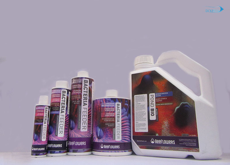 bacteria_feederعکس-از-دلفیران.jpg باکتری فیدر - تصویر 1