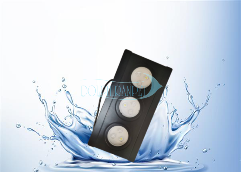 jijijij.png نور سیبیلیون Seabilion A030 - تصویر 1