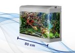 آکواریوم و پایه دلسا مدل K800 - تصویر 2