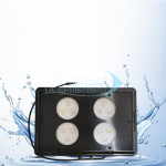 نور سیبیلیون Seabilion A052