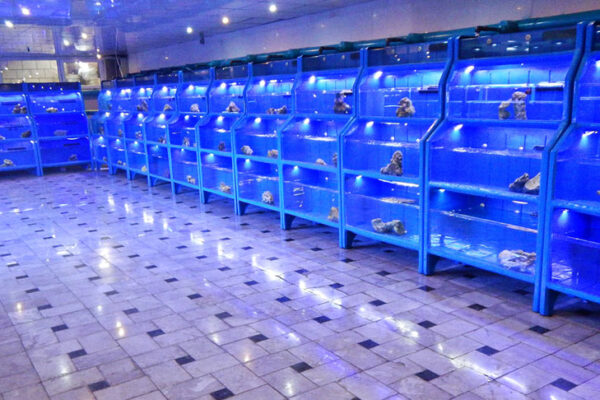 salon1-600x400