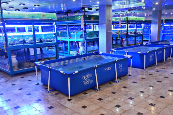 salon2-600x400