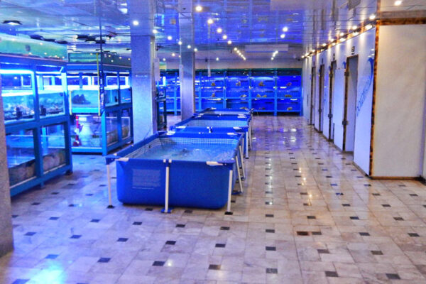 salon3-600x400